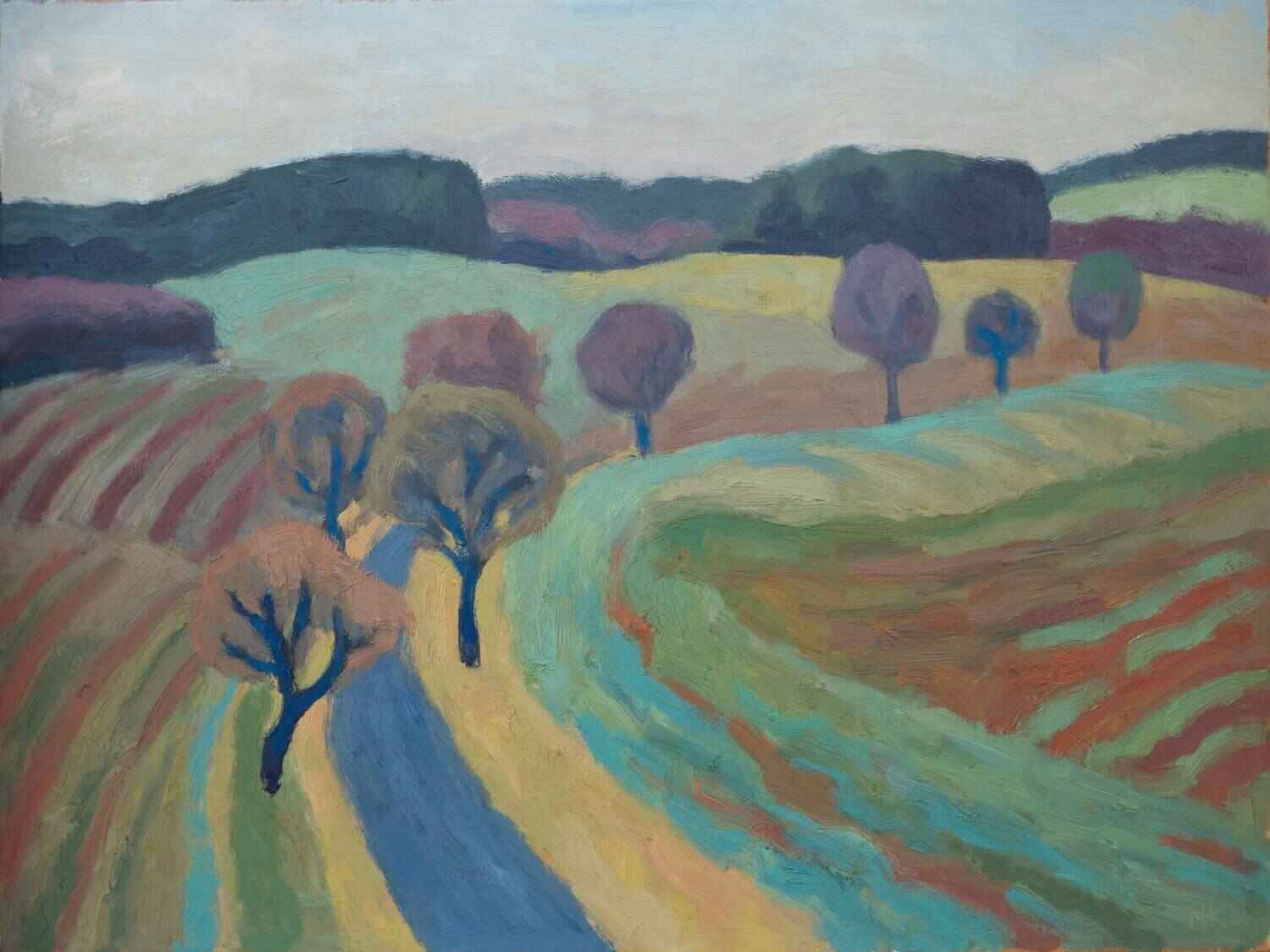 landscape near Garrey, 60x80cm, oil, 2026