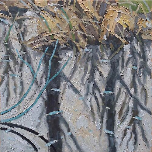 reflections in the swamp, 50x50cm, oil