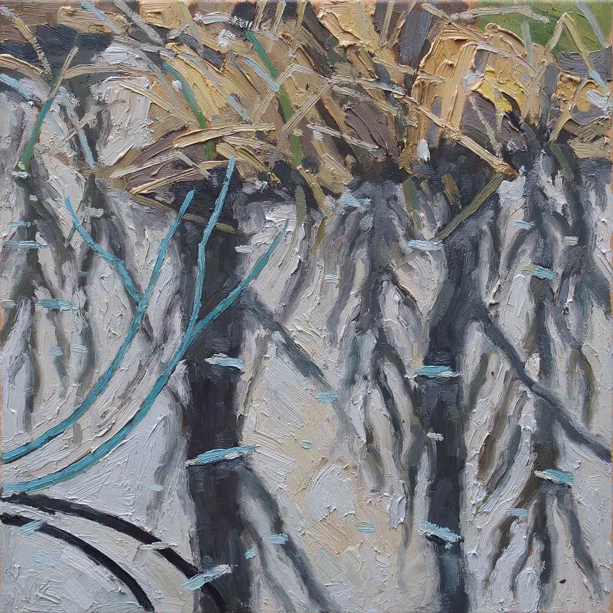reflections in the swamp, 50x50cm, oil