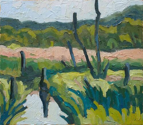 swamp landscape near Himmelpfort, 35x40cm
