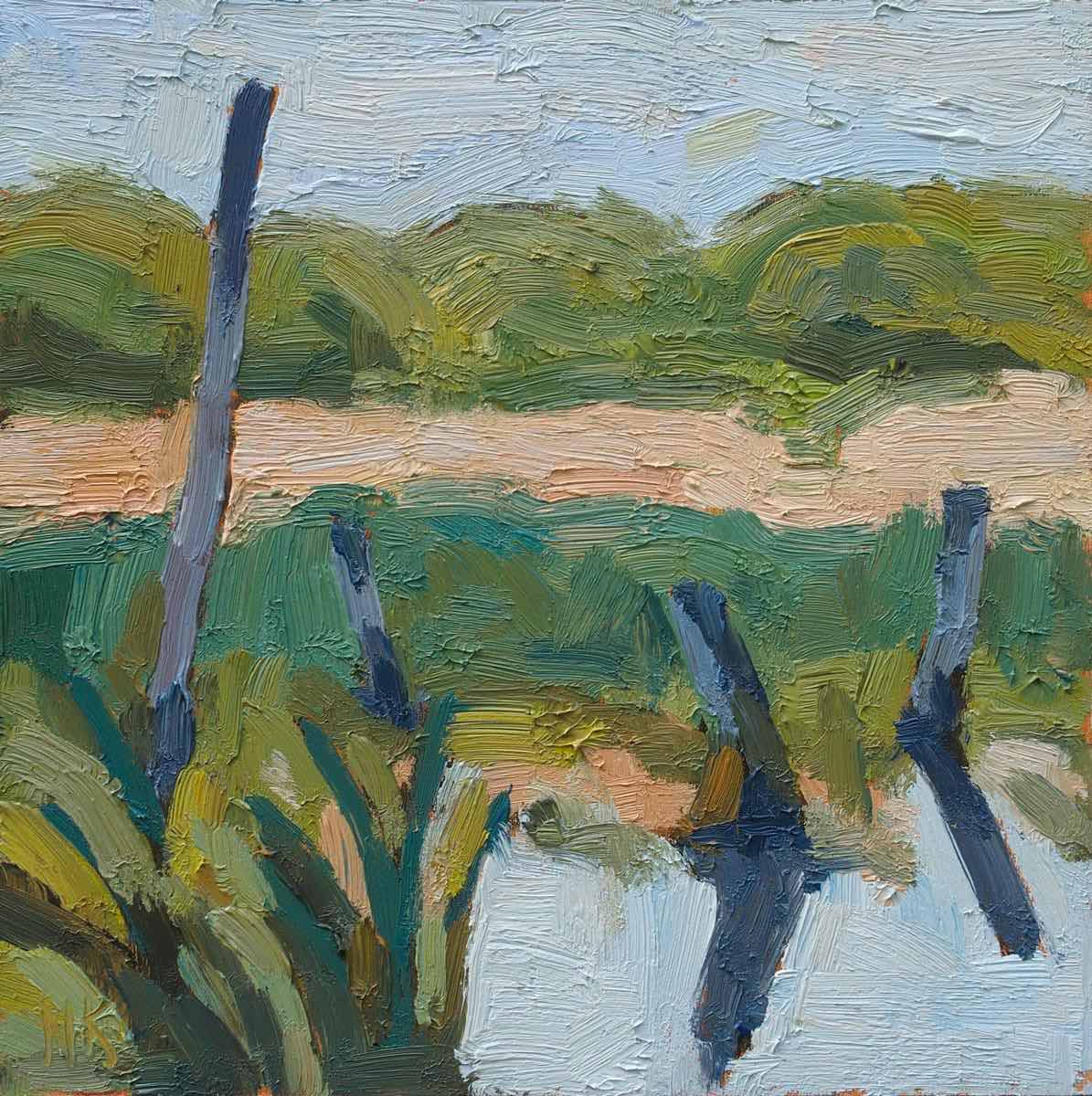 a small swamp landscape near Himmelpfort, 20x20cm