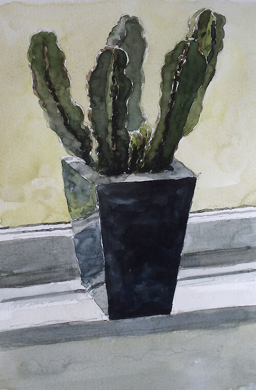 Euphorbia, Watercolor
