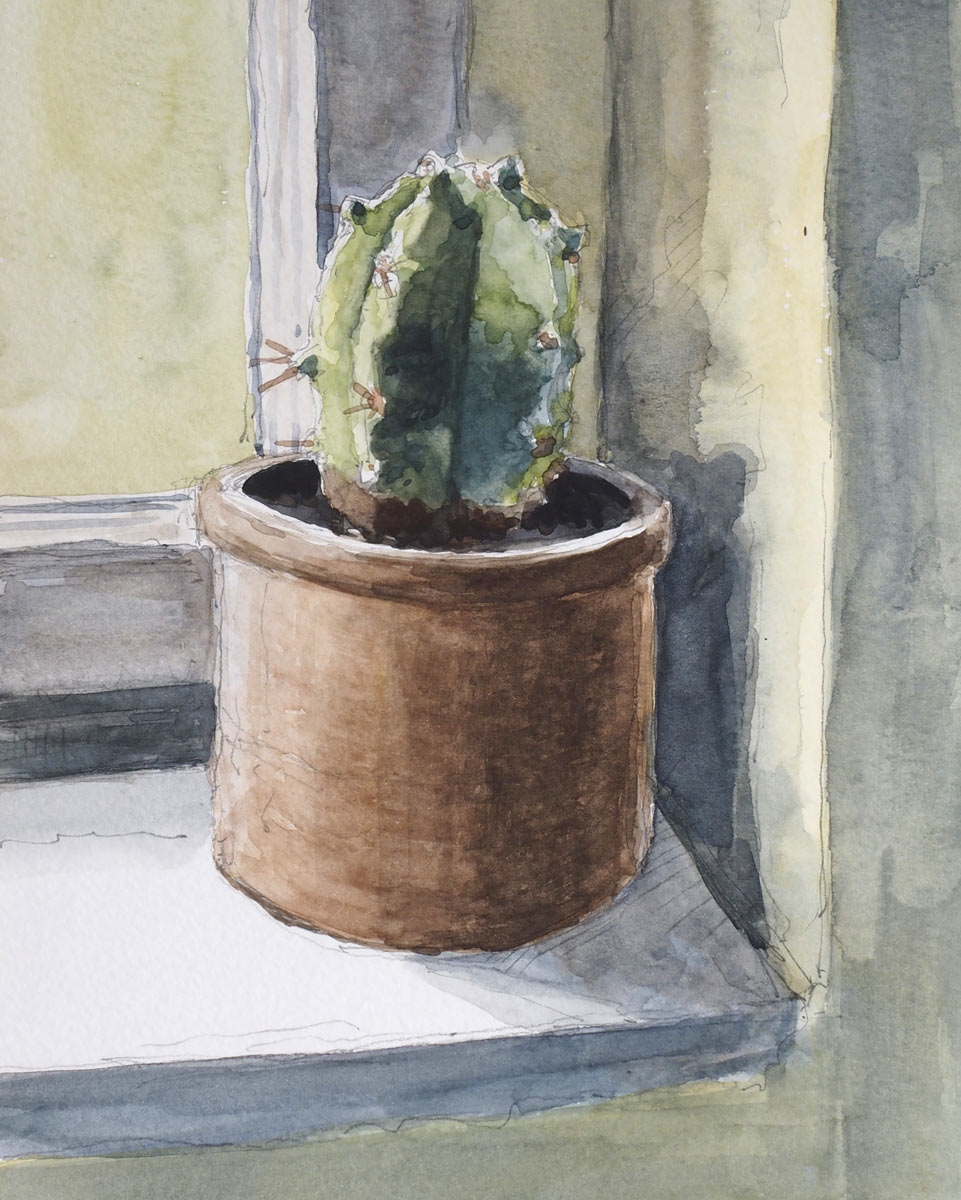 Cactus, Watercolor