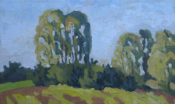 Birches near Himmelpfort, 30x50cm, oil
