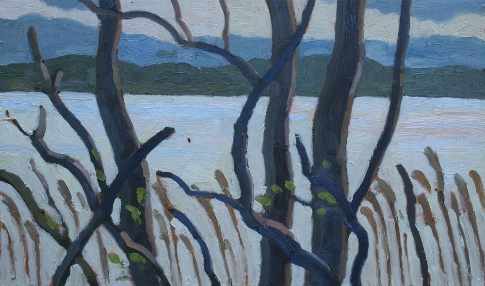 Blick auf den Stolpsee, Himmelpfort, 30x50cm, Öl