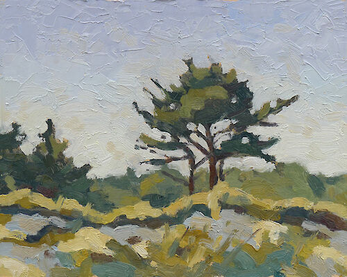 Pine near Prerow, 24x30cm, oil