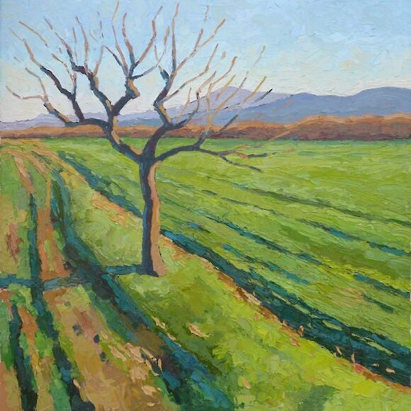 lonely tree, Bulgaria