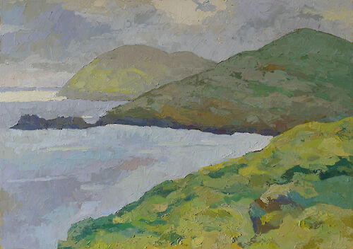 Irish west coast