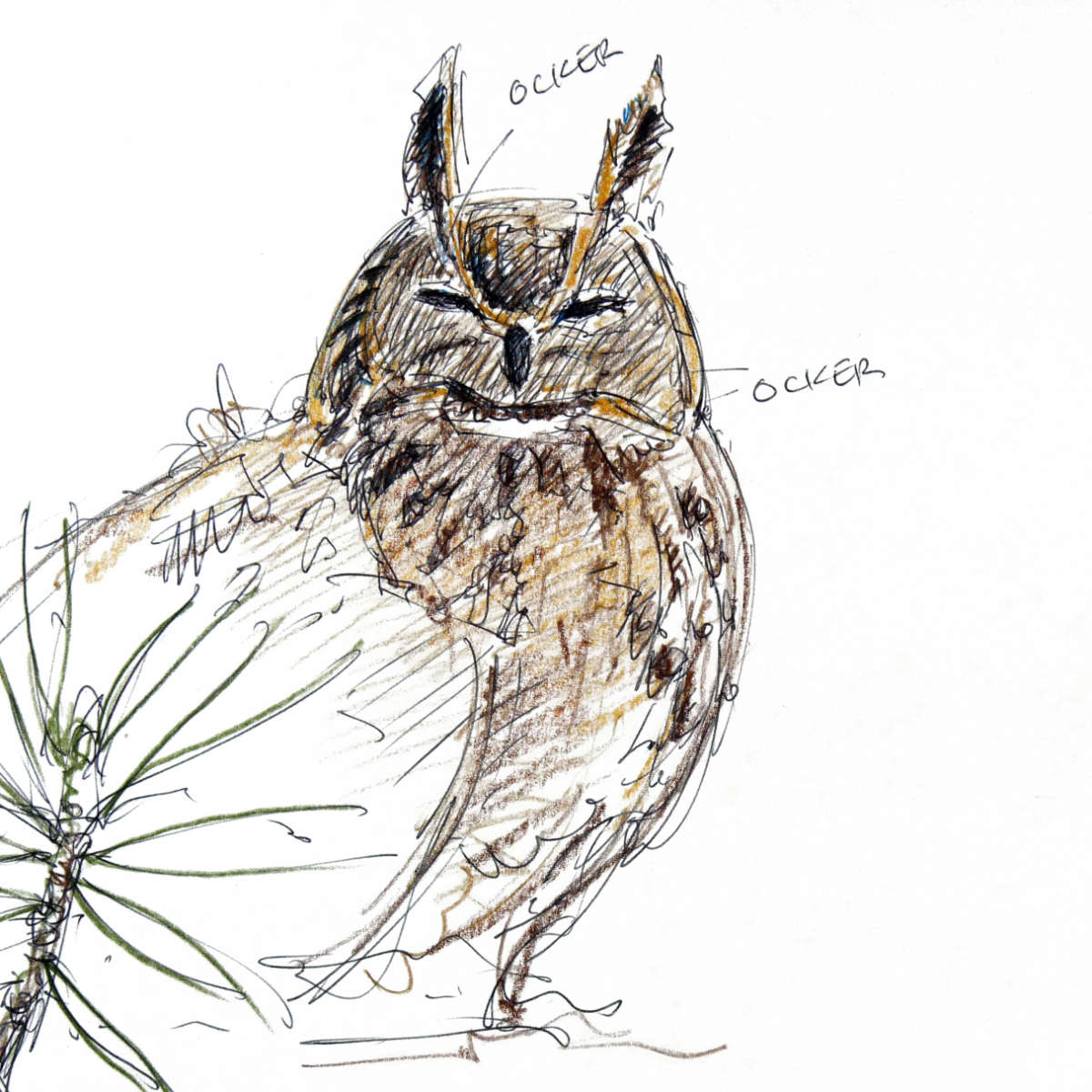 Uhu, Kugelschreiber + Buntstift