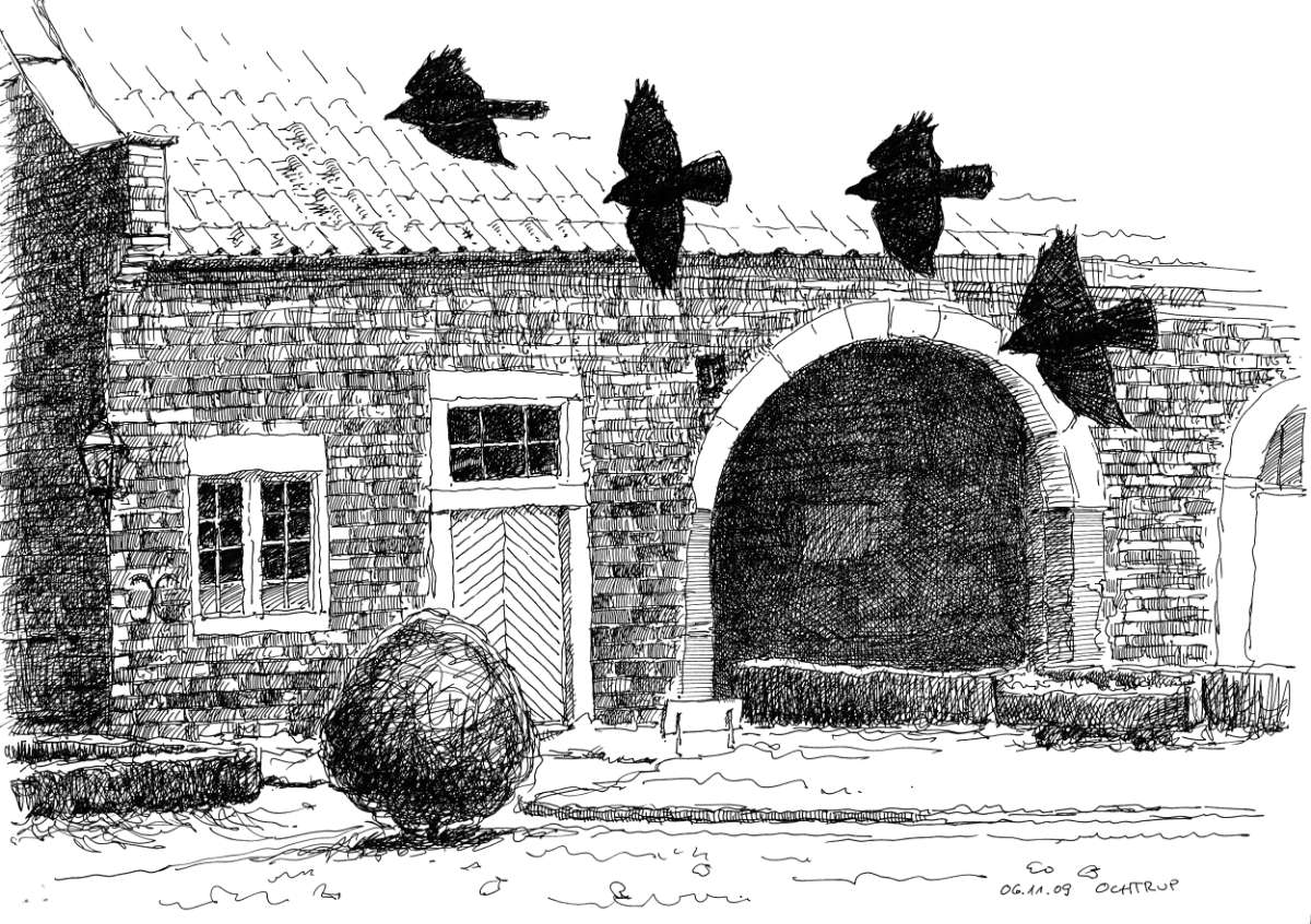 Jackdaws, ink