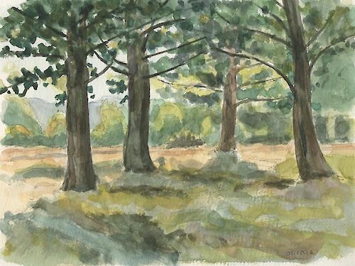 Trees along Tundzha river