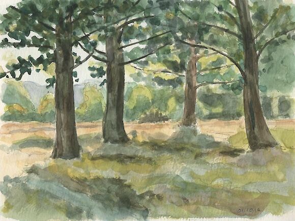 Trees along Tundzha river