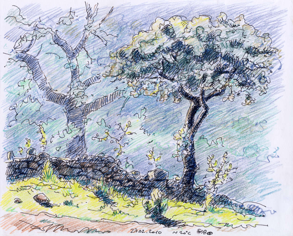 Bäume und Steinmauer, Tusche mit Bleistift