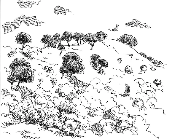 Landscape along the Tajo, ink