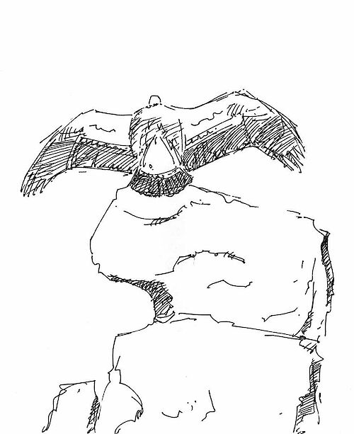 Griffon vulture, ink