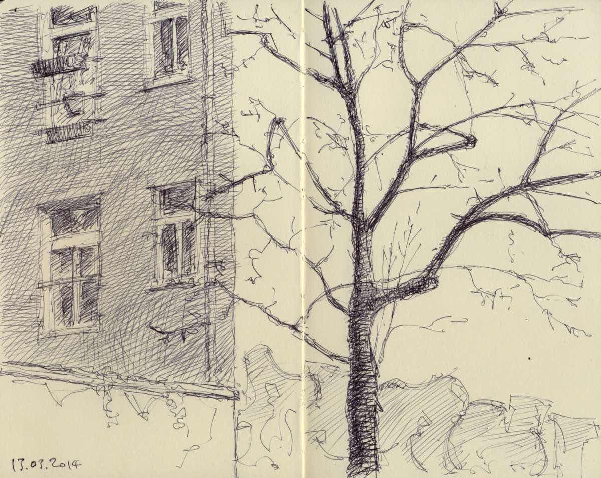 Backyard in Berlin, ball point