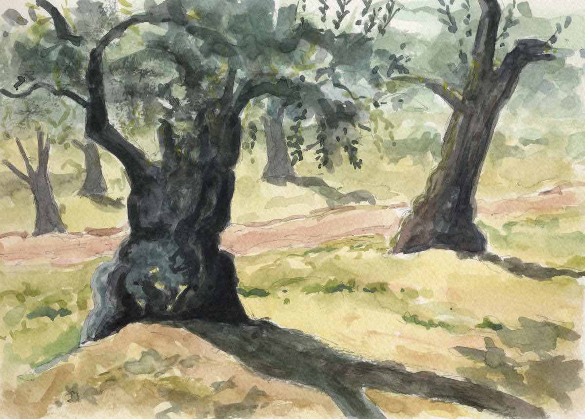 Olivenhain, Aquarell