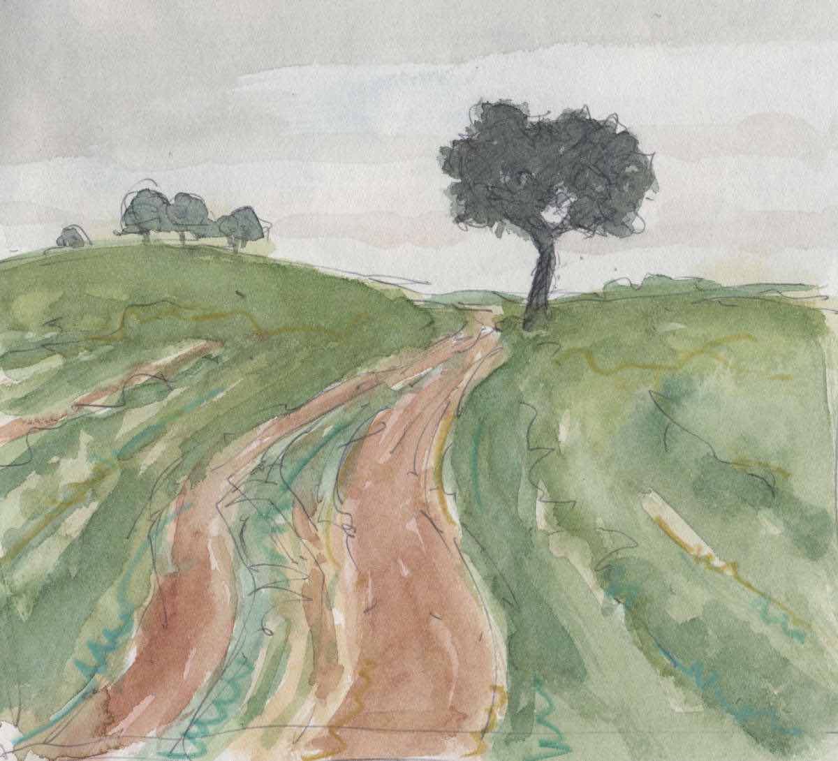 Road with holm oaks, watercolor