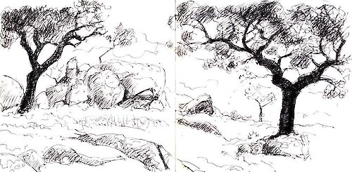 Holm oaks and rocks, ink