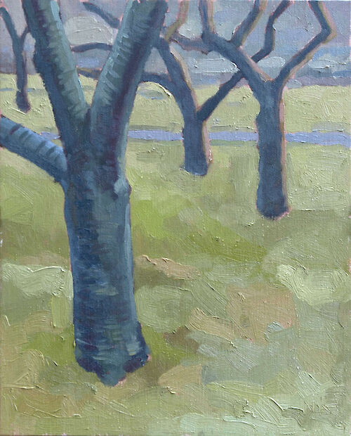 Japanese garden in Dresden