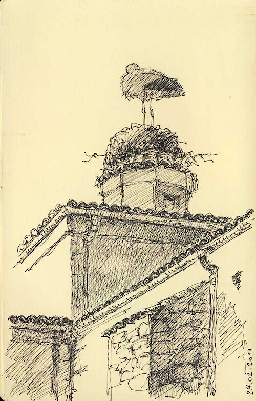 Sleeping white stork, ball point