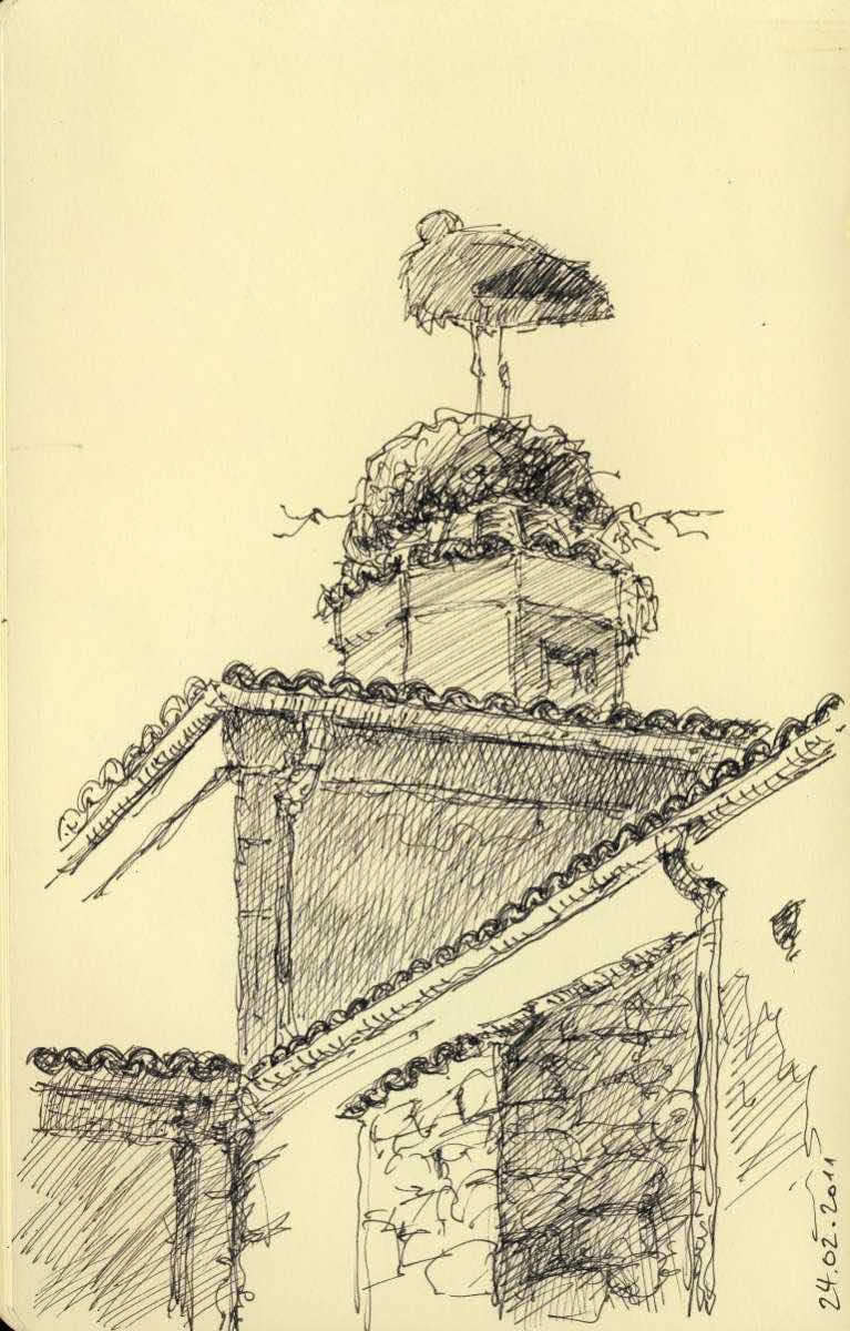 Sleeping white stork, ball point