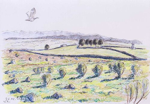 Great bustard near Trujillo