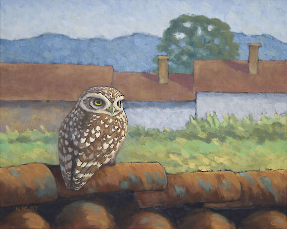 Little owl in Bulgaria