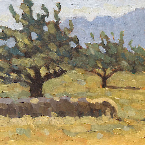 Sheeps at noon