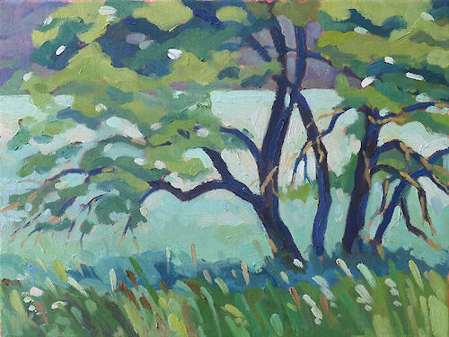 Altthymen elder bush, 30x40cm