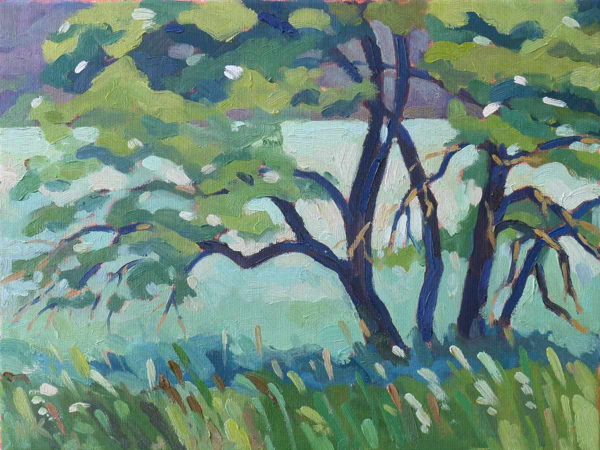 Altthymen Holunder, 30x40cm