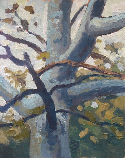 Wallnut tree, autumn