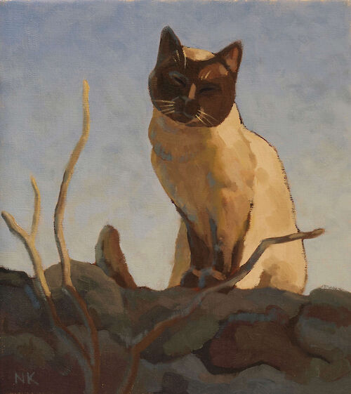 Cat sitting on a wall