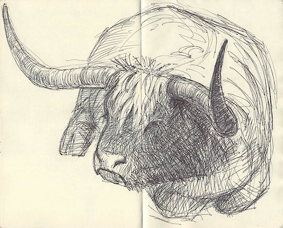 aurochs