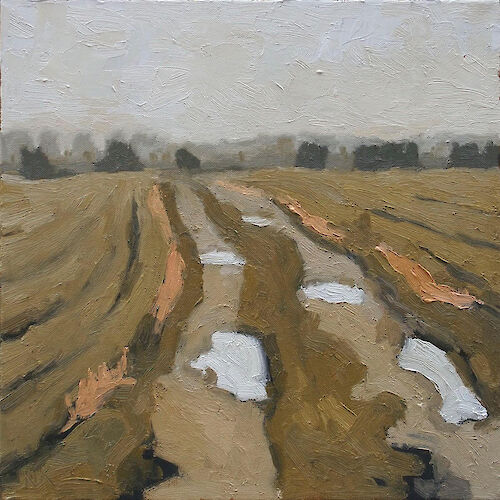 Landscape near Baitz